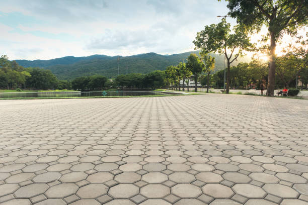Best Driveway Resurfacing Pavers  in Lyford, TX