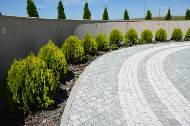 Professional Driveway Pavers in Lyford, TX